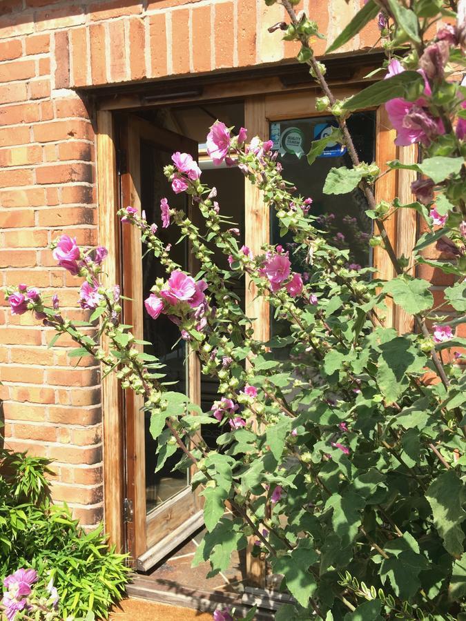 Bybrook Barn Bed & Breakfast Лоубъро Екстериор снимка